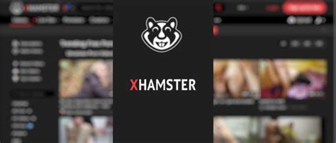 it x hamster|Video porno gratis di xHamster TV